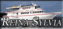 Reina Sylvia button